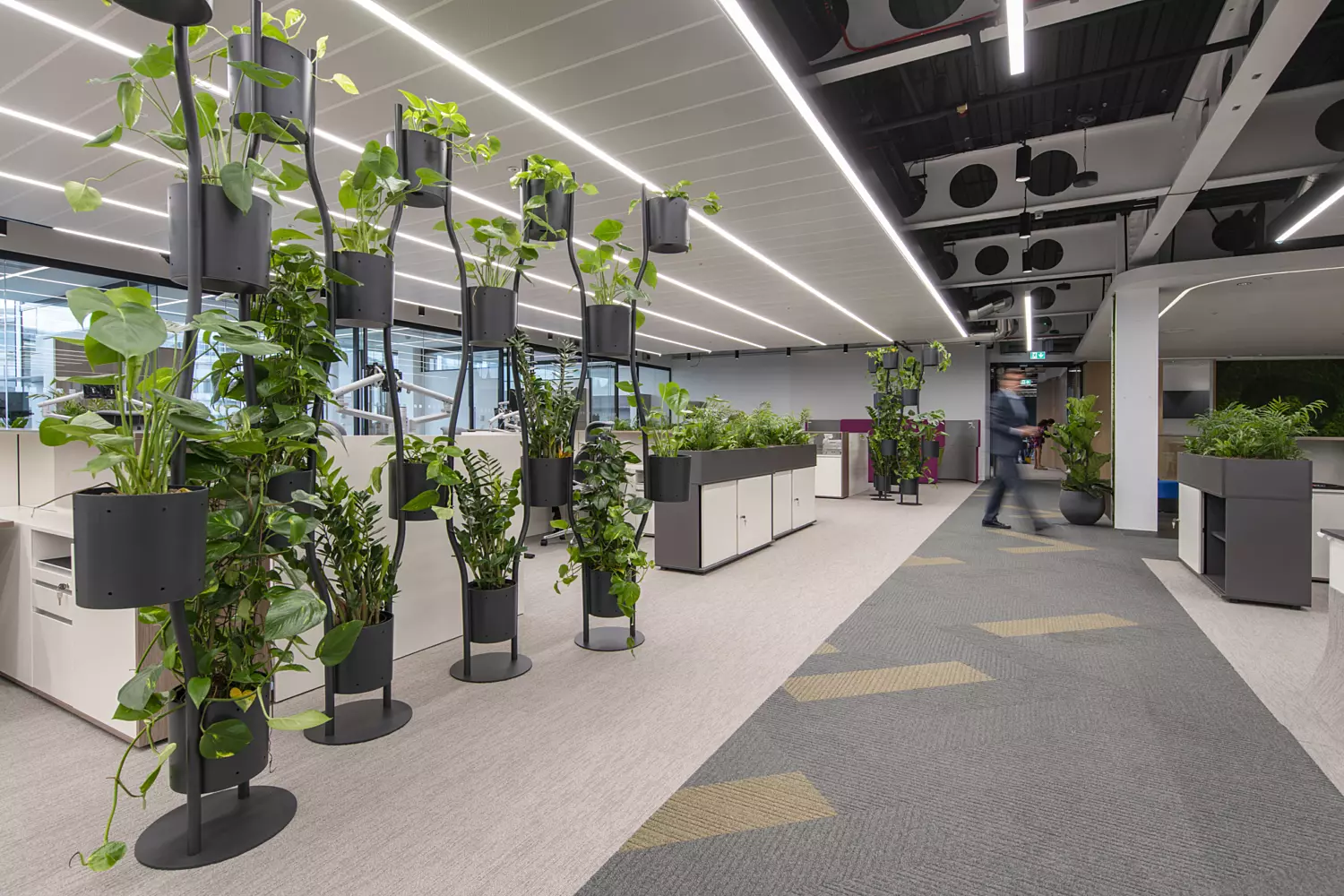 Planters that soften walkways