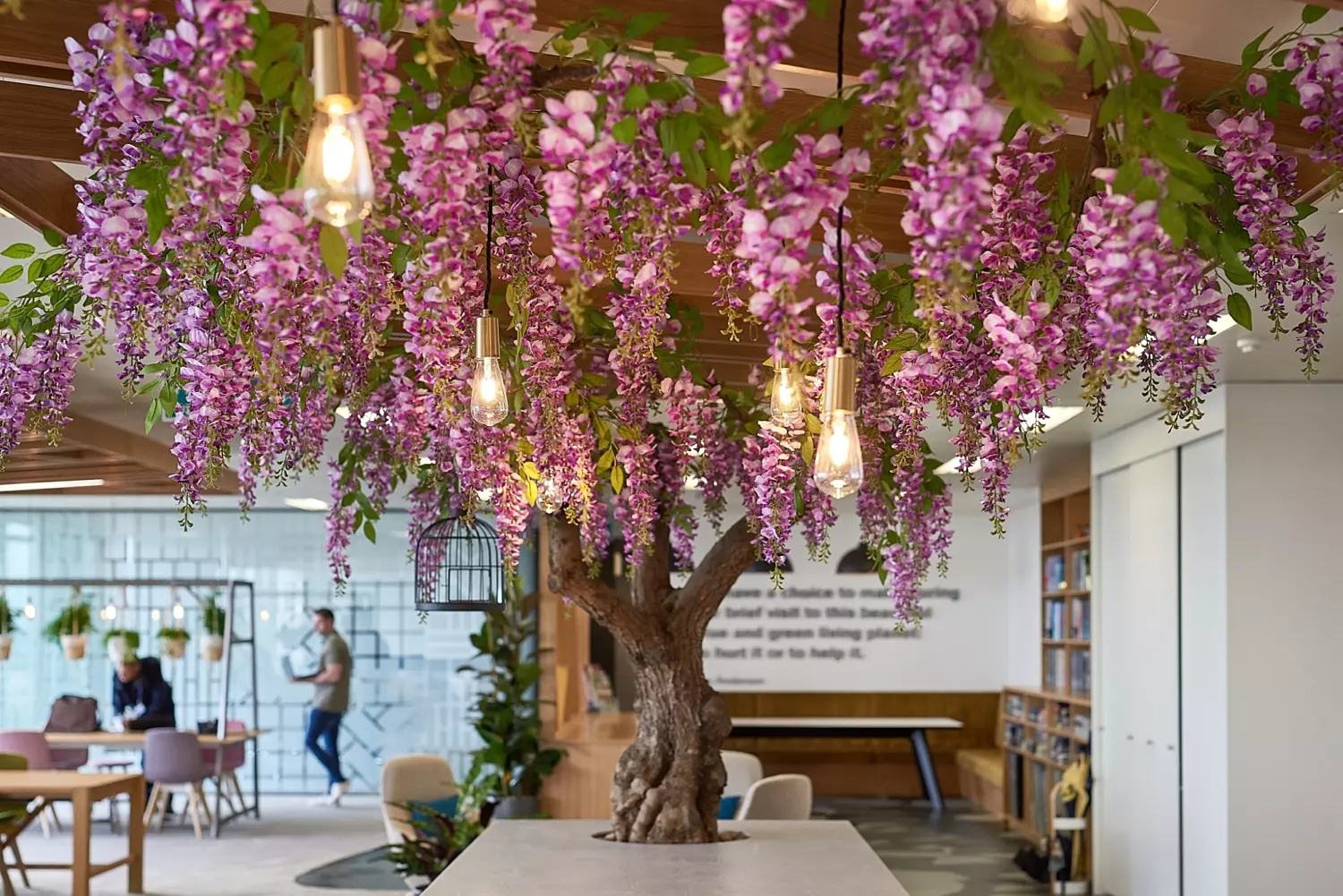 Biophilia in the office to enhance wellbeing