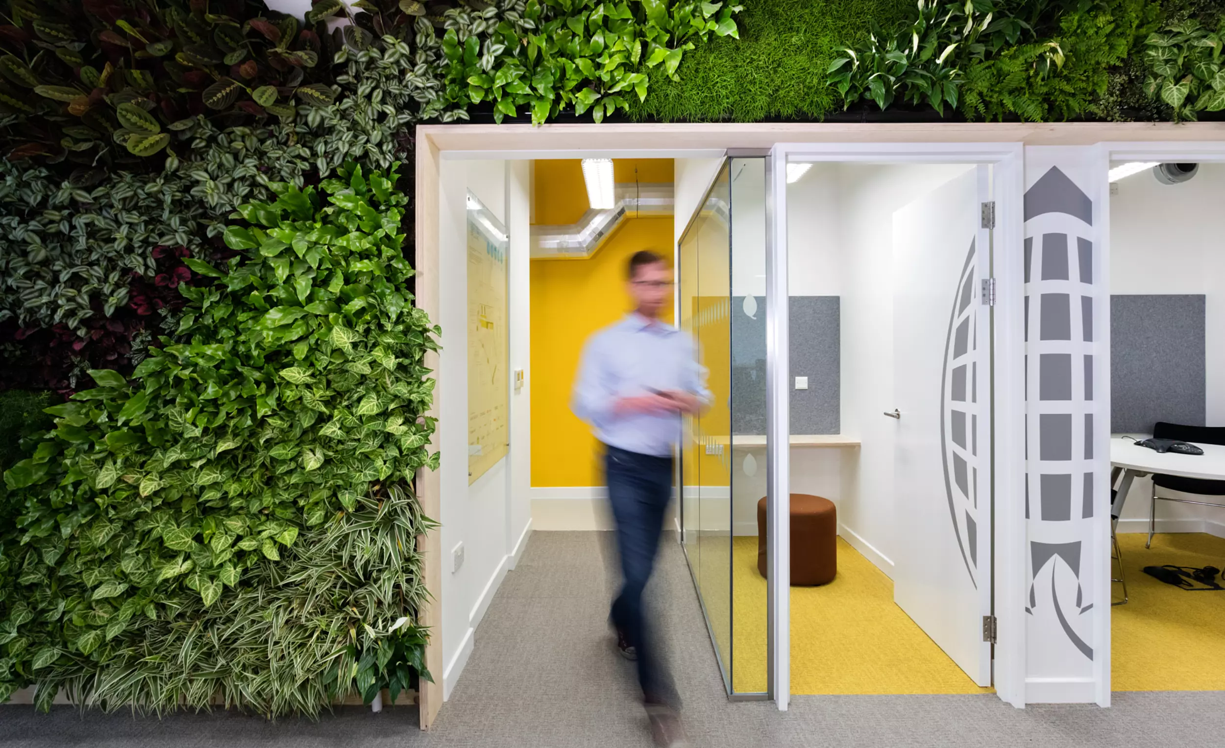 Sustainable biophilic office design