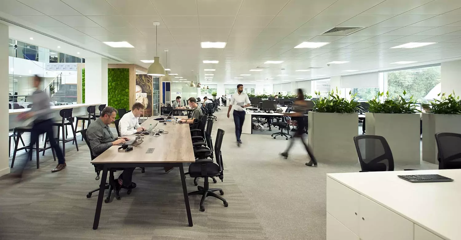Open plan biophilic office design