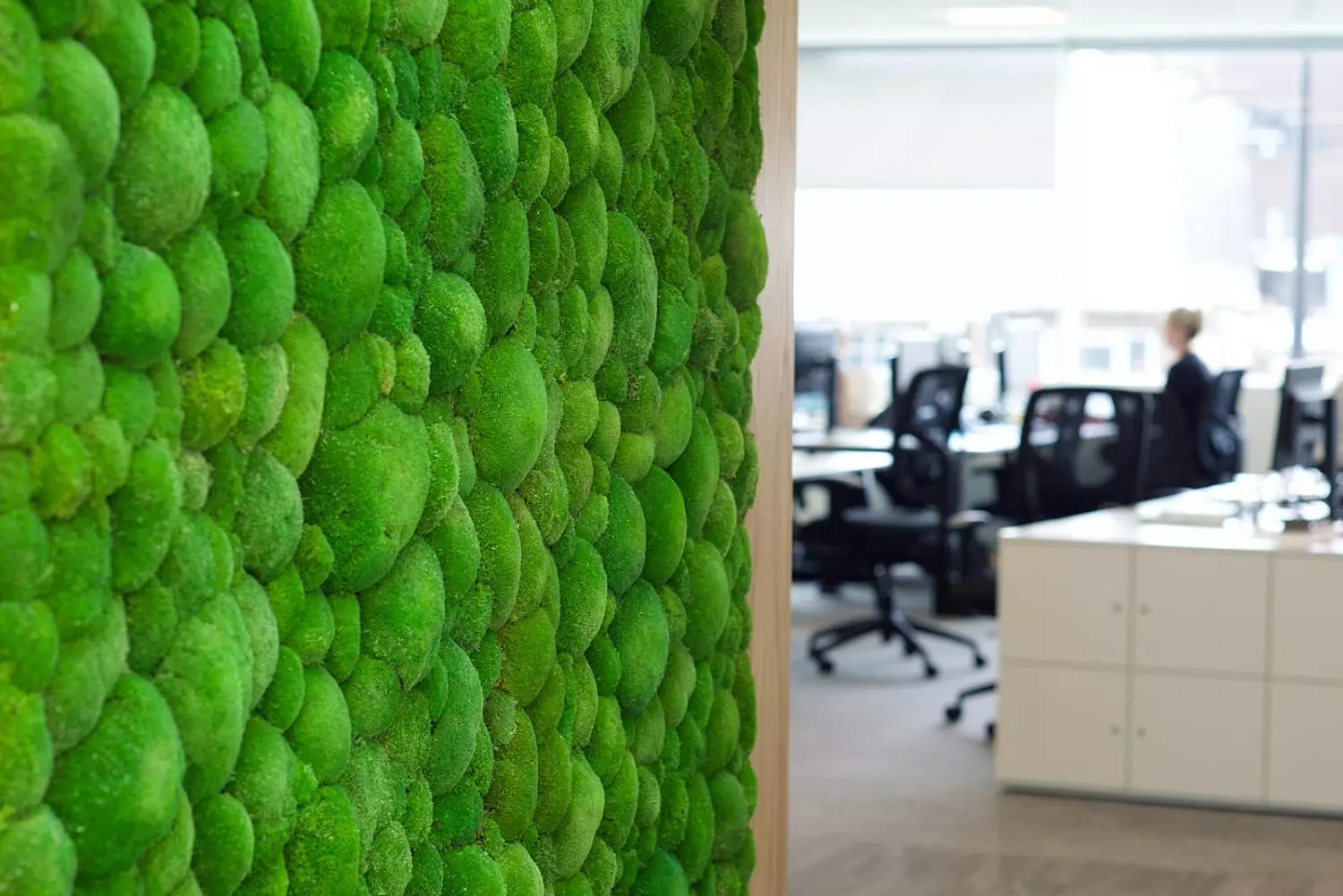 Morgan Lovell fit out with moss wall